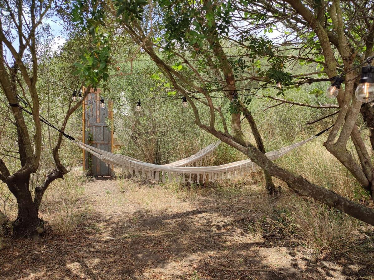 Campsite Tranquilo Glamping *